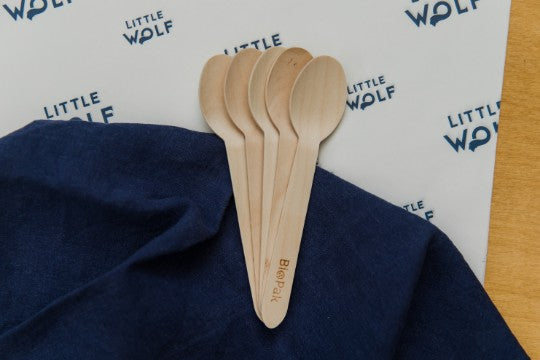 Disposable Wooden Spoons (set of 10)